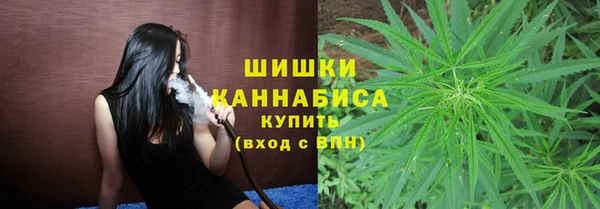 сатива Аркадак
