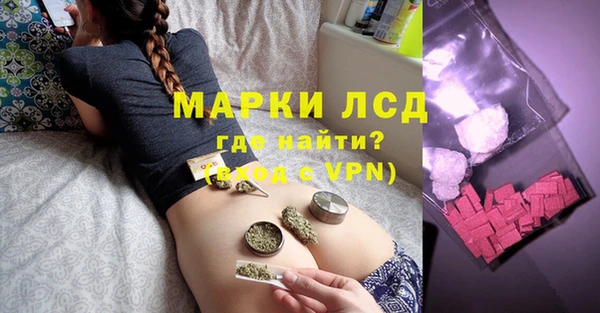 сатива Аркадак