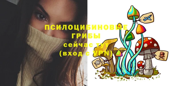 сатива Аркадак