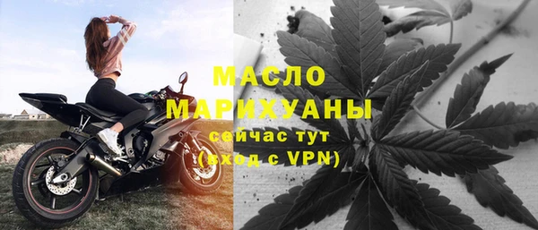 сатива Аркадак
