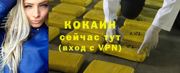 сатива Аркадак