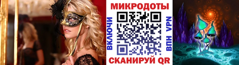 Псилоцибиновые грибы MAGIC MUSHROOMS  нарко площадка Telegram  Терек  где можно купить  